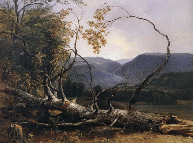 Asher Brown Durand Study from Nature,Stratton Notch,Vermont Spain oil painting art